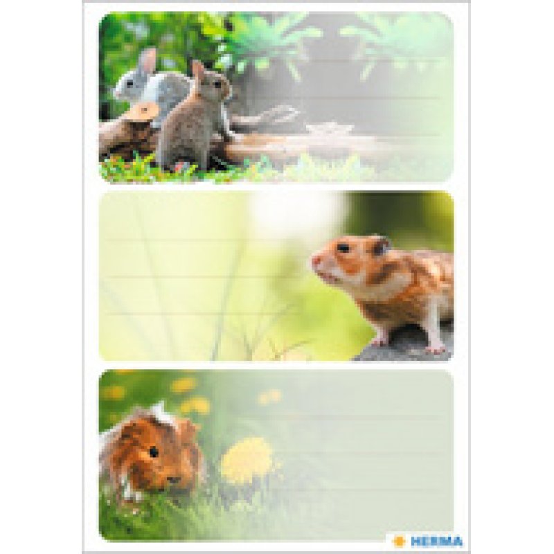 HERMA Etiquettes scolaires Horse World