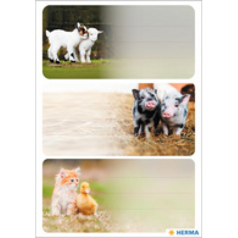 HERMA Étiquette pour livre VARIO Le monde des chevaux