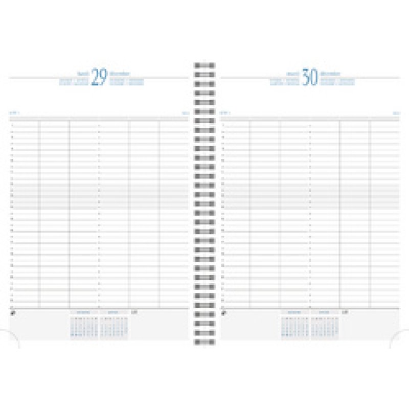 EXACOMPTA Agenda journalier "Time 29 S", 2026, bleu