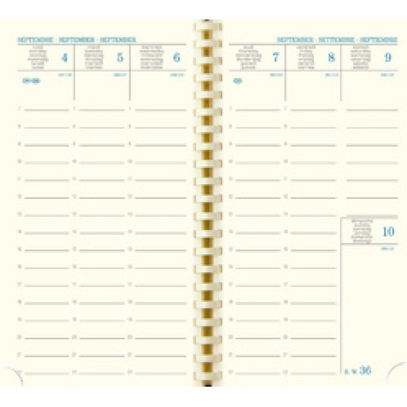 EXACOMPTA Agenda semainier SAD 16S NIL, 2025/2026, 16 mois