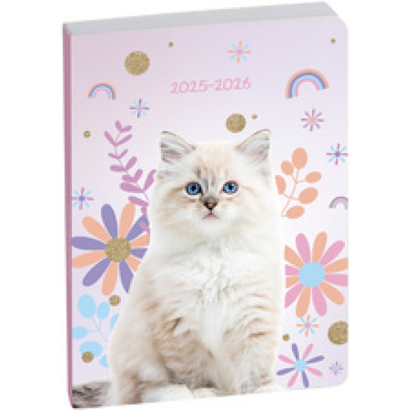 Clairefontaine Agenda scolaire FORUM, 2025/2026, Chat blanc