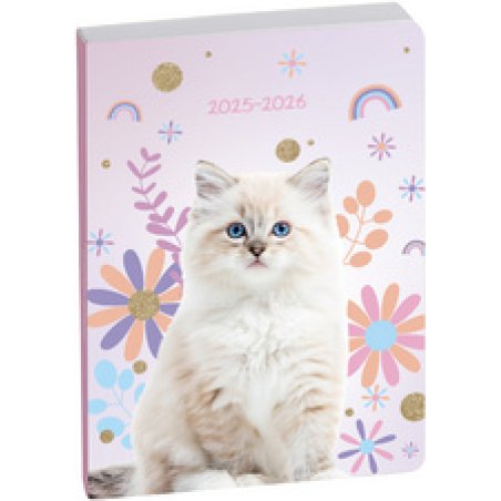 Clairefontaine Agenda scolaire FORUM, 2025/2026, Chat blanc