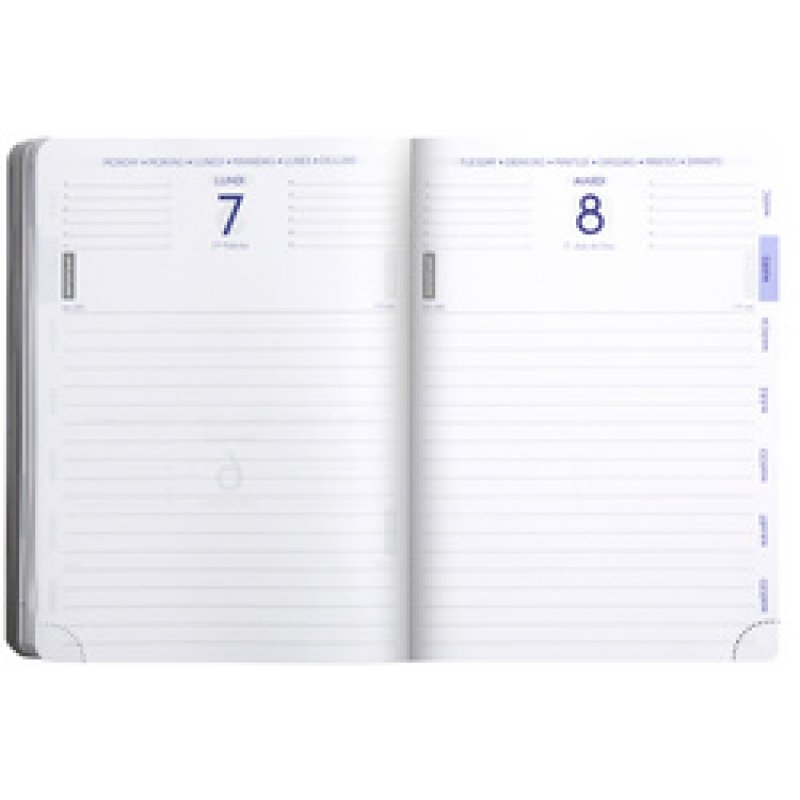 Clairefontaine Agenda scolaire FORUM, 2025/2026, Chat blanc