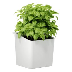 tesa KITCHEN Pot pour herbes aromatiques, blanc