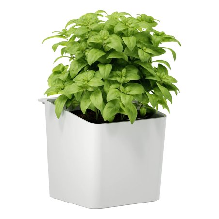 tesa KITCHEN Pot pour herbes aromatiques, blanc