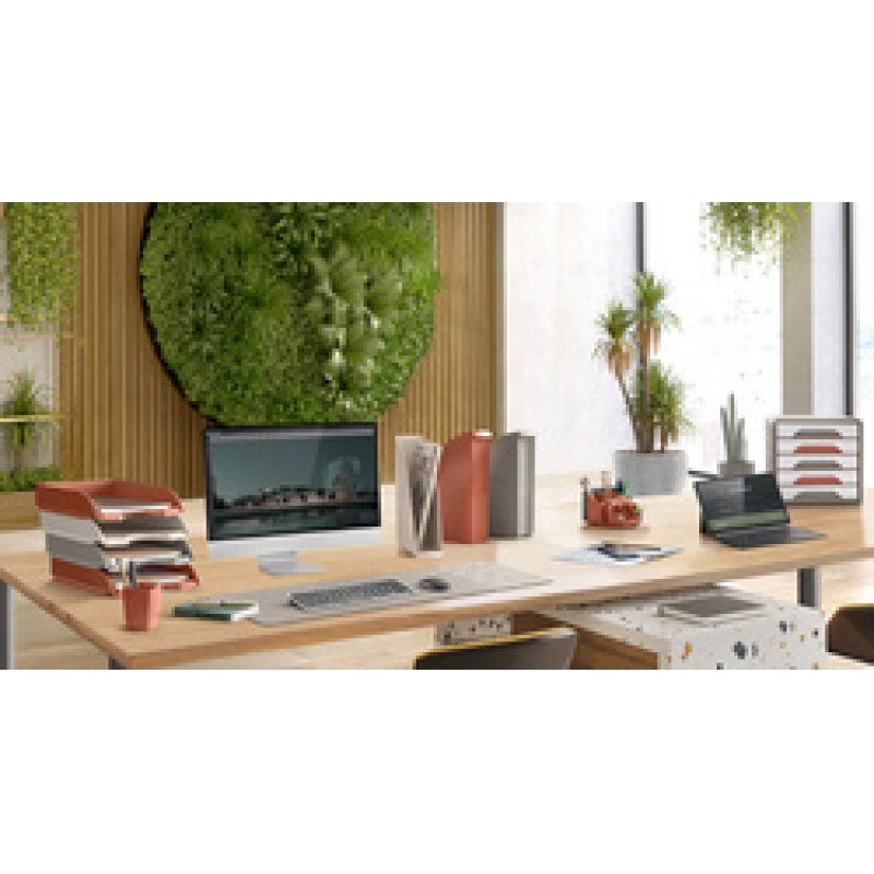 CEP Mini module de rangement MyCube Terra Nova, assorti