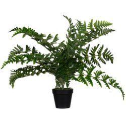 PAPERFLOW Plante artificielle "fougère", hauteur: 550 mm