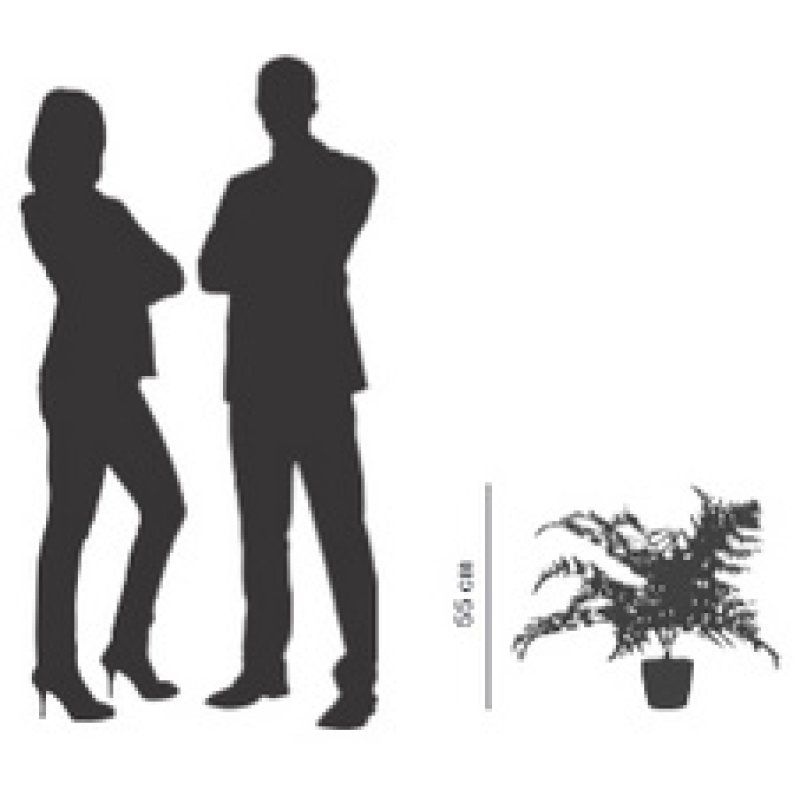 PAPERFLOW Plante artificielle "fougère", hauteur: 550 mm