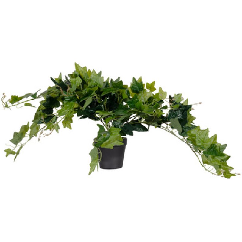 PAPERFLOW Plante artificielle "lierre", hauteur: 800 mm