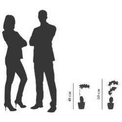 PAPERFLOW Plante artificielle "orchidée", (H)400 mm, blanc