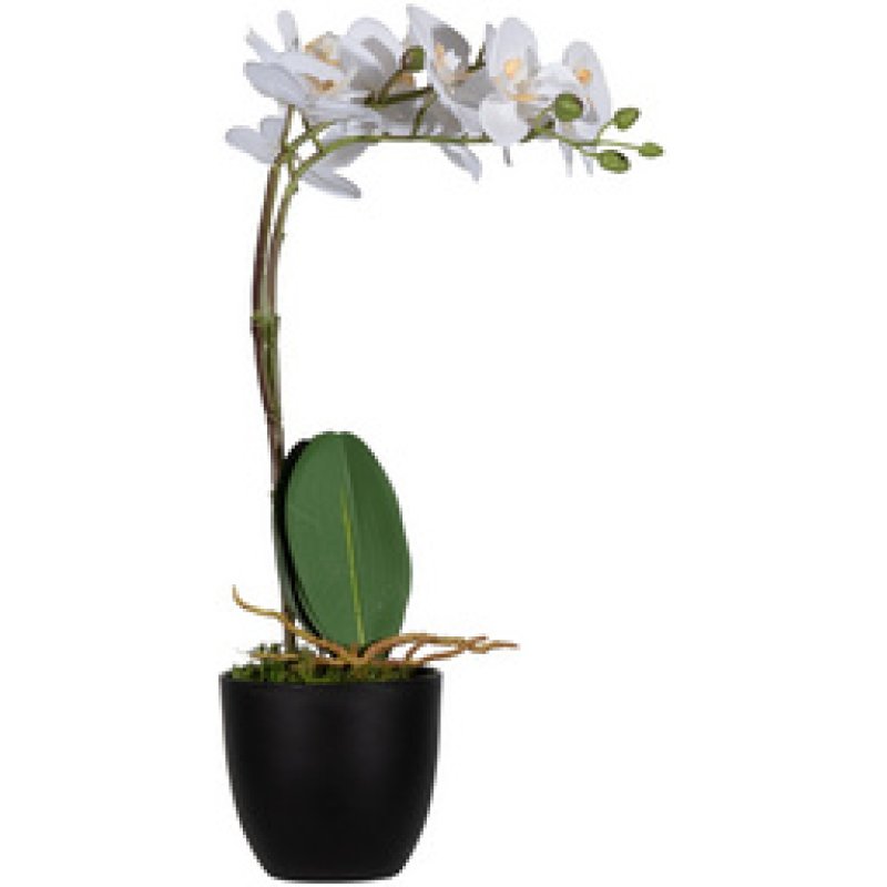 PAPERFLOW Plante artificielle "orchidée", (H)500 mm, rose