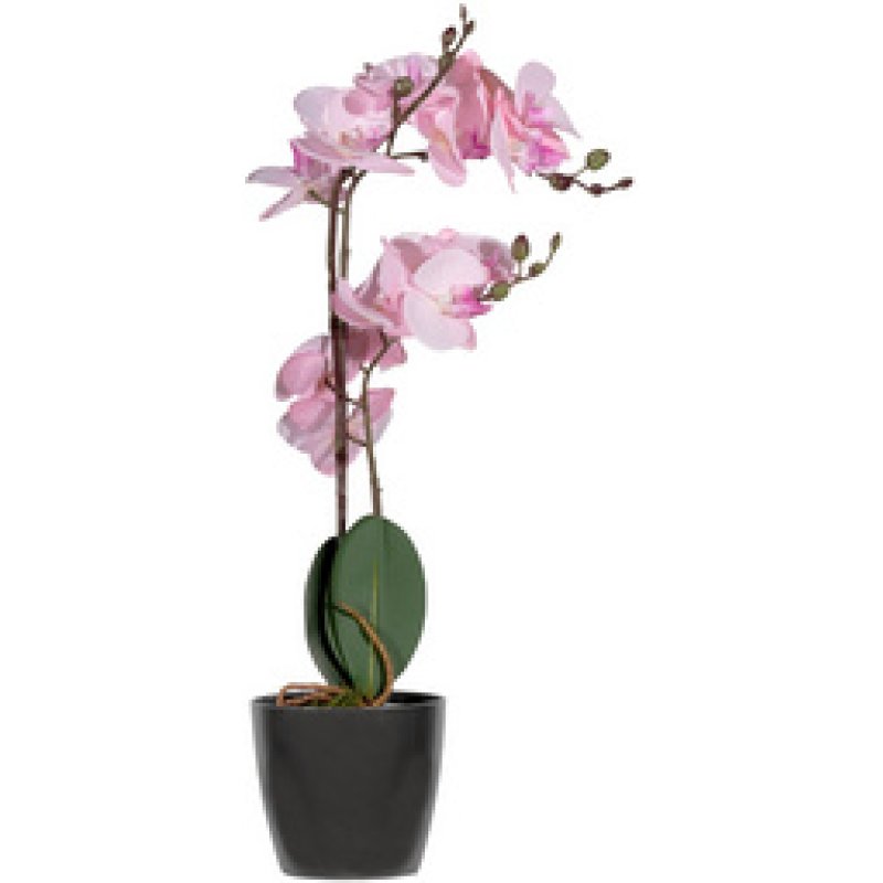 PAPERFLOW Plante artificielle "orchidée", (H)500 mm, rose