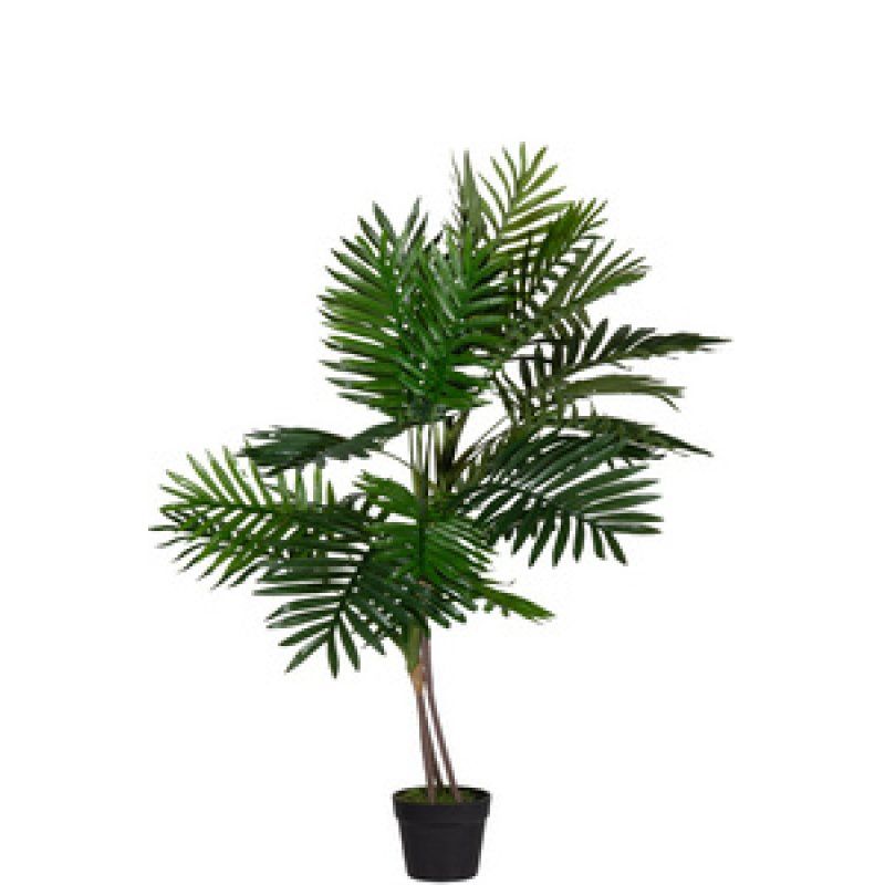 PAPERFLOW Plante artificielle "palmier", hauteur: 1.600 m