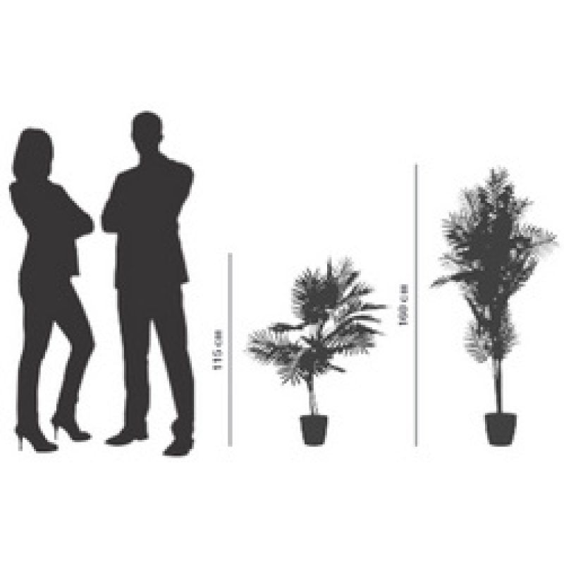 PAPERFLOW Plante artificielle "palmier", hauteur: 1.600 m