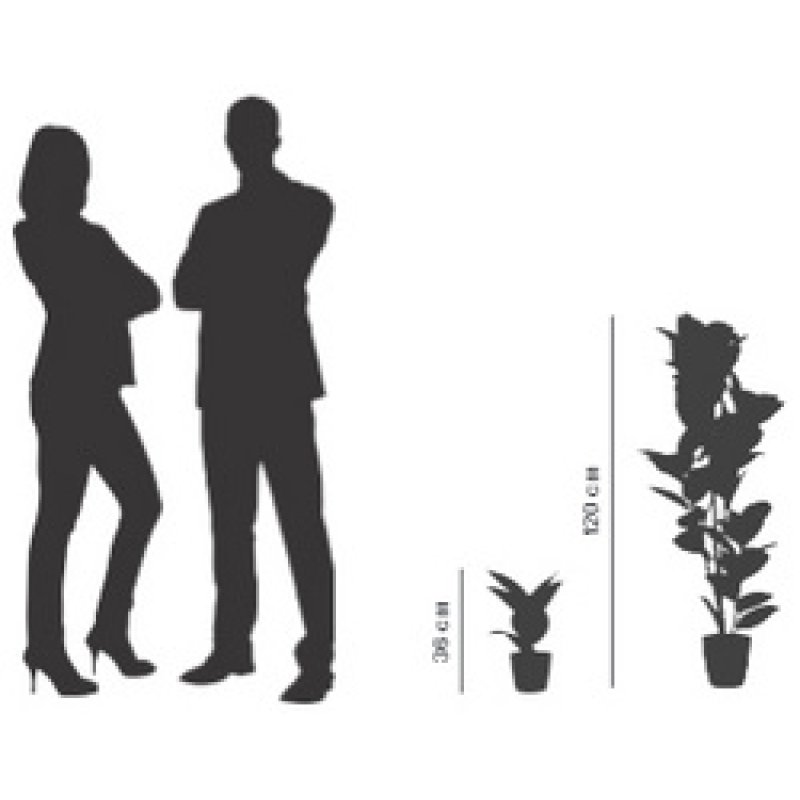 PAPERFLOW Plante artificielle "caoutchouc", hauteur: 360 mm