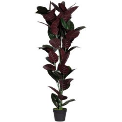 PAPERFLOW Plante artificielle "caoutchouc", hauteur 1.200 mm