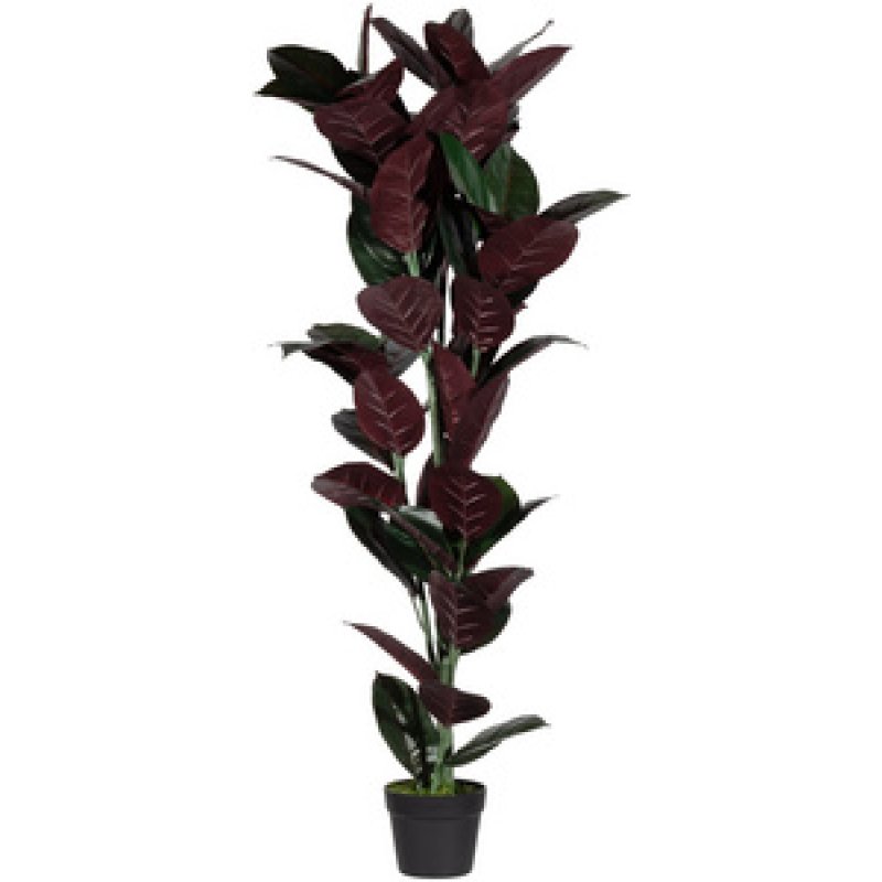 PAPERFLOW Plante artificielle "caoutchouc", hauteur 1.200 mm