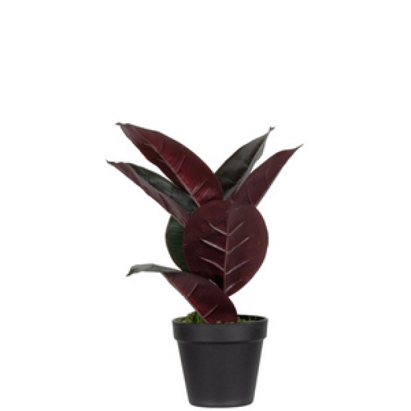 PAPERFLOW Plante artificielle "caoutchouc", hauteur 1.200 mm