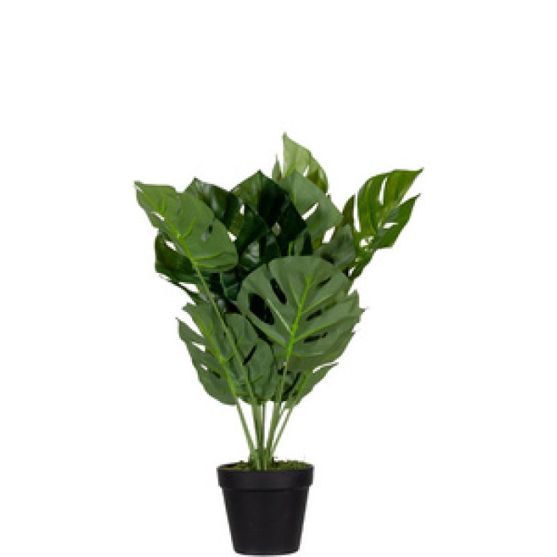 PAPERFLOW Plante artificielle "monstera", hauteur: 1.300 mm