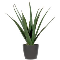 PAPERFLOW Plante artificielle "aloe vera", hauteur: 450 mm