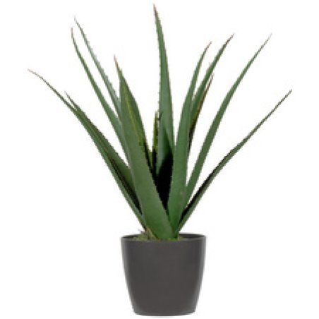 PAPERFLOW Plante artificielle "aloe vera", hauteur: 450 mm