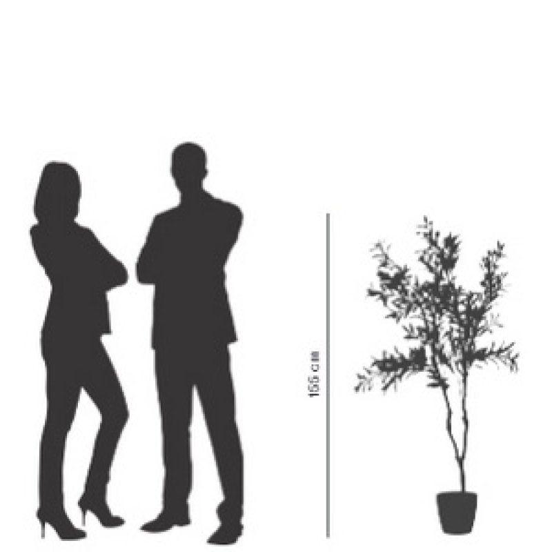 PAPERFLOW Plante artificielle "olivier", hauteur: 1.550 mm