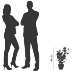 PAPERFLOW Plante artificielle "rosier", (H)540 mm, rouge