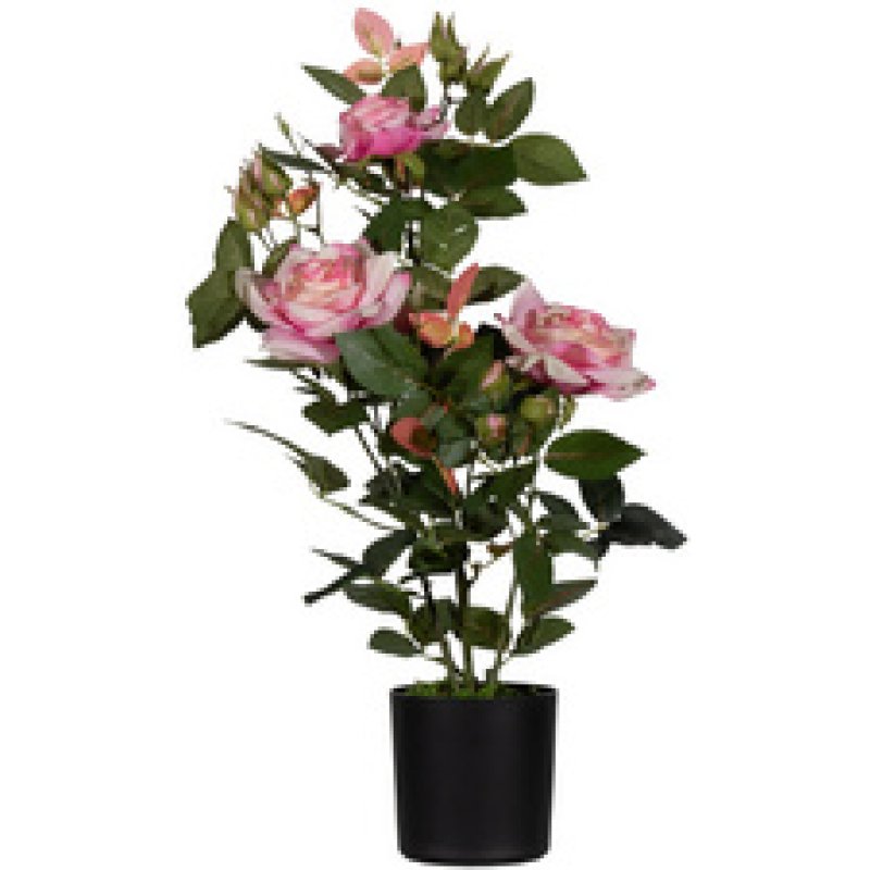 PAPERFLOW Plante artificielle "rosier", (H)540 mm, rouge