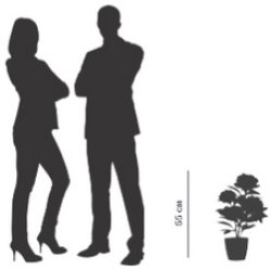 PAPERFLOW Plante artificielle "pivoine", (H)550 mm, rose