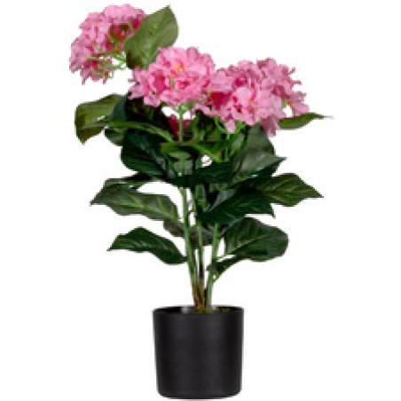 PAPERFLOW Plante artificielle "hortensia", (H)550 mm, rose