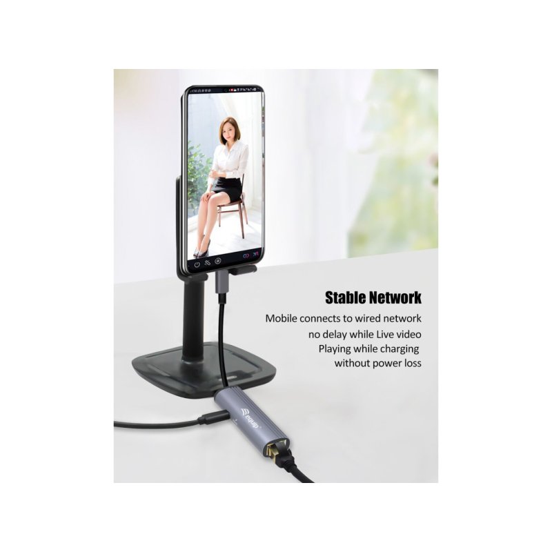 Equip Dock USB-C-GbE.100WPD3.0 15cm gr