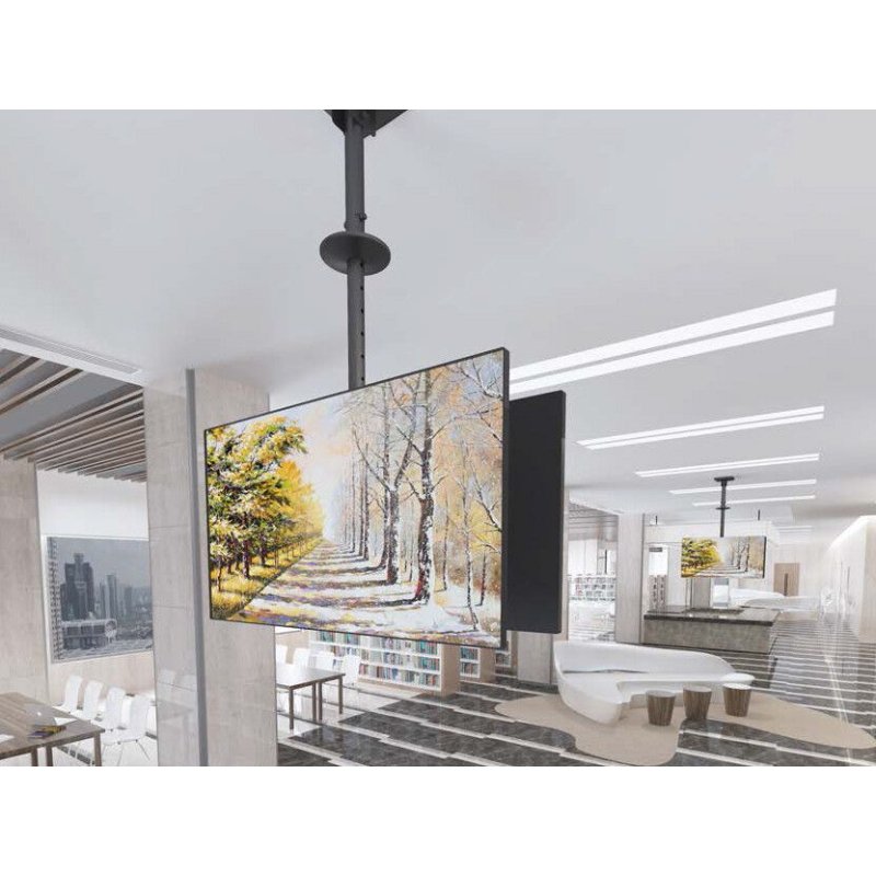 Equip Deckenhalterung 39"-75"/2TFT je 40kg 2Gelenke neig. sw lite Retail