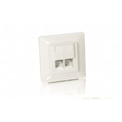 Equip Unterputzdose Frontplatte 2xRJ45 Cat5e 45° RAL 1013