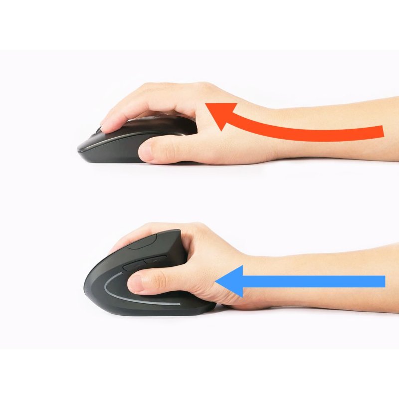 Equip Optische Ergonomic Maus kabellos USB Rechtshänder sw