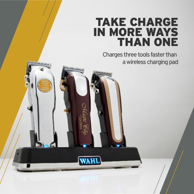Wahl 3023997 chargeur de batterie Secteur