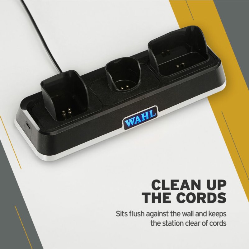 Wahl 3023997 battery charger AC