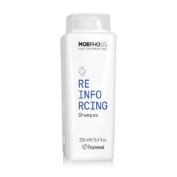 STOCKICX1 - Framesi Morphosis Reinforcing Shampoo 8.4 fl oz