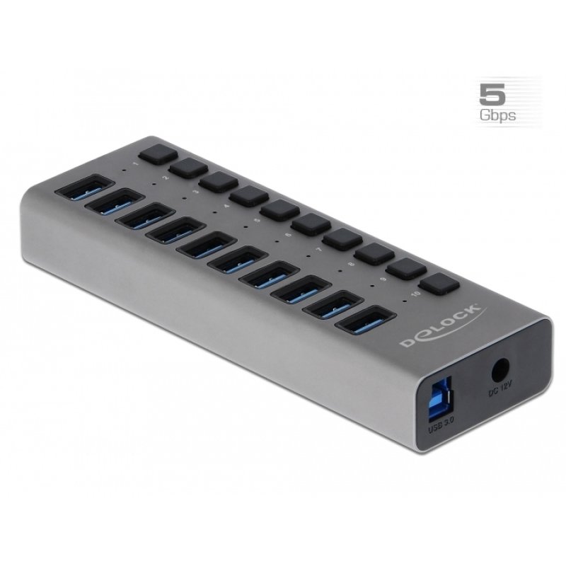 DeLOCK External 5 Gbps USB Hub with 10 Ports Switch