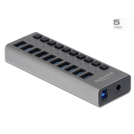 DELOCK Externer SuperSpeed USB Hub mit 10 Ports Schalter