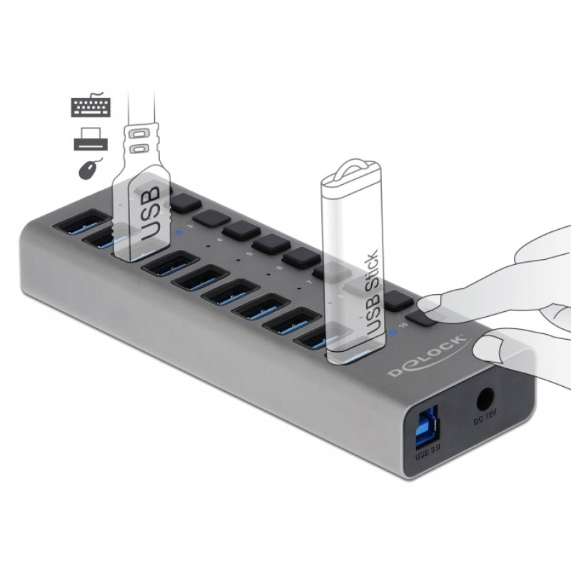 DeLOCK External 5 Gbps USB Hub with 10 Ports Switch