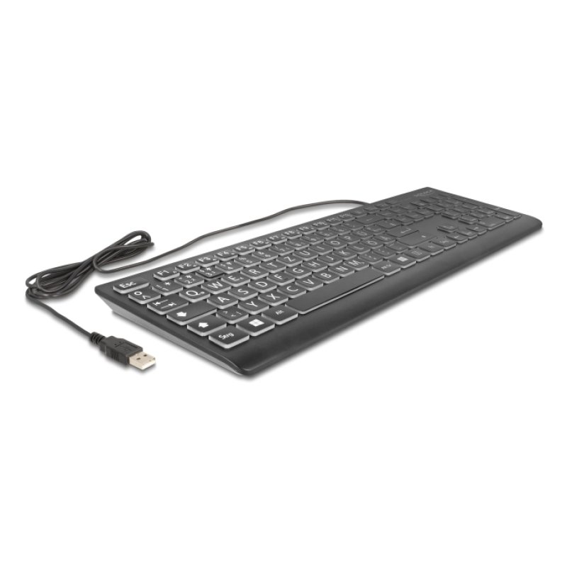 DeLOCK 12170 keyboard Universal USB QWERTZ German Black