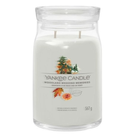 Yankee Candle 1759274E bougie en cire Rond Ambre, Bergamote, Noix de coco, Jasmin, Mousse, Orange, Poire, Bois de