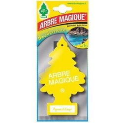 Arbre Magique Mediterraneo Agrumi Di Capri
