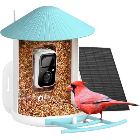 Birdfy - Feeder with Intelligent Bird Identification Solar Panel