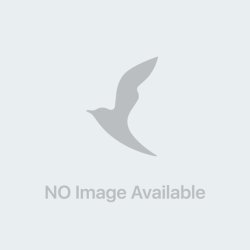 Nivea Shower Gel Care Orange 650 Ml