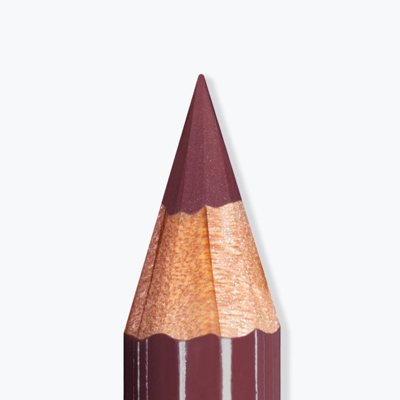 MESAUDA Artist lips 107 Mauve