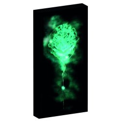 HARRY POTTER - Canvas avec 6 lumières LED 20X3X40cm