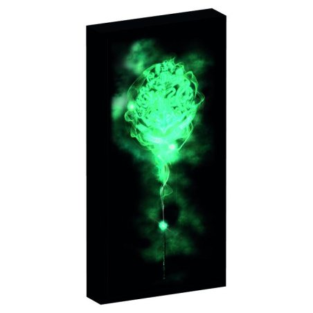 HARRY POTTER - Canvas avec 6 lumières LED 20X3X40cm