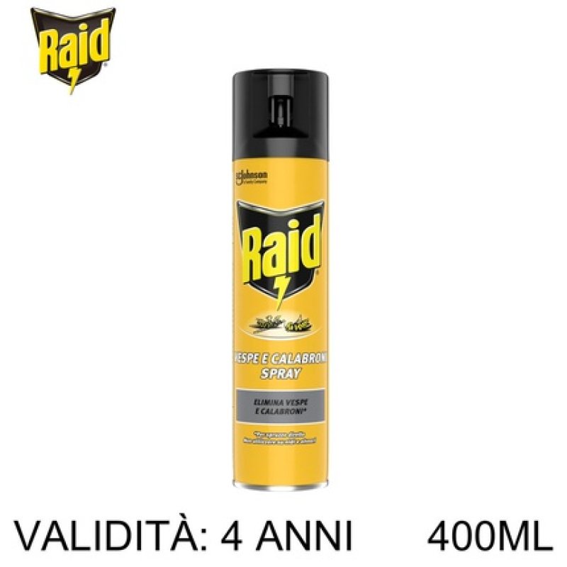 Raid Wasp And Hornet Spray 400ml