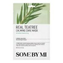 Real Teatree Calming Care Mask